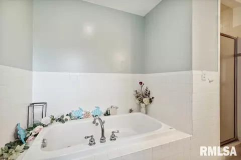 20810 Mathew Rd, Morrison, IL 61270 photo 30