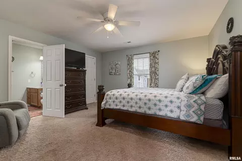 1616 Dolan Ln, Herrin, IL 62948 photo 11
