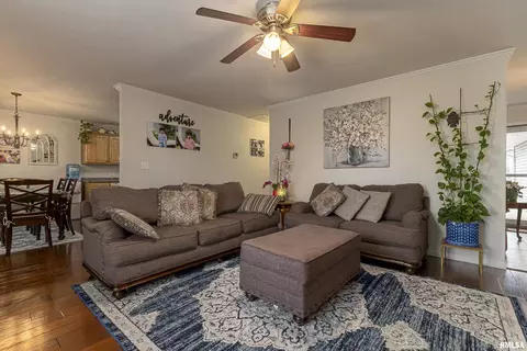 1616 Dolan Ln, Herrin, IL 62948 photo 5