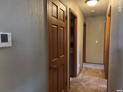 320 Oak St, Andover, IL 61233 photo 12