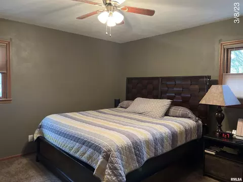 320 Oak St, Andover, IL 61233 photo 18