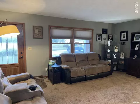 320 Oak St, Andover, IL 61233 photo 10