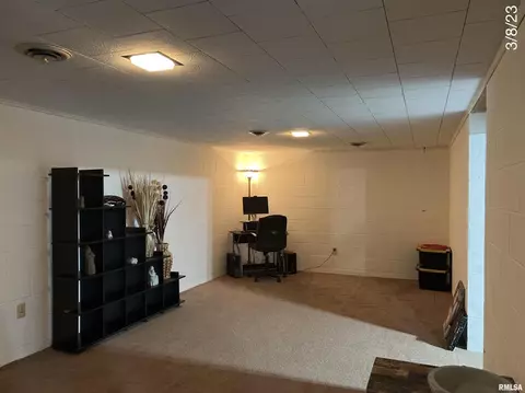 320 Oak St, Andover, IL 61233 photo 22