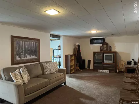 320 Oak St, Andover, IL 61233 photo 24
