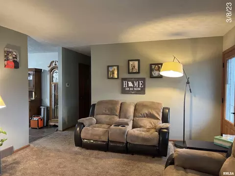 320 Oak St, Andover, IL 61233 photo 11