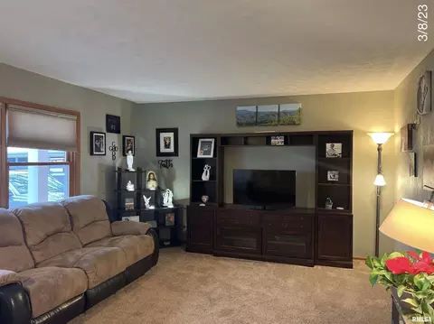 320 Oak St, Andover, IL 61233 photo 9