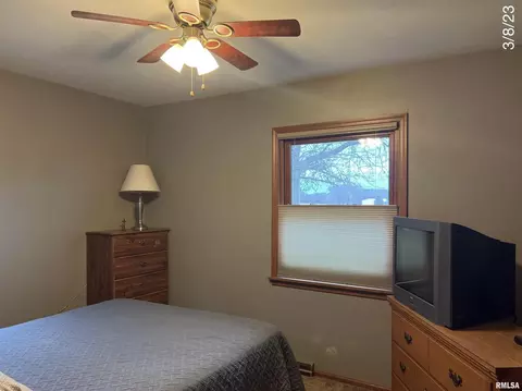 320 Oak St, Andover, IL 61233 photo 17