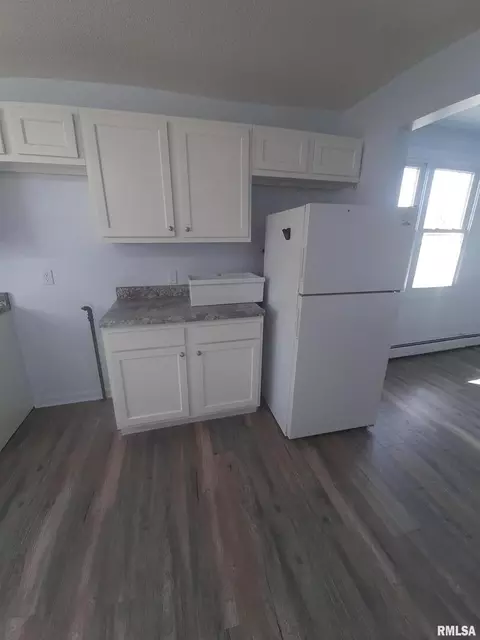304 E Alexander St, Energy, IL 62933 photo 10
