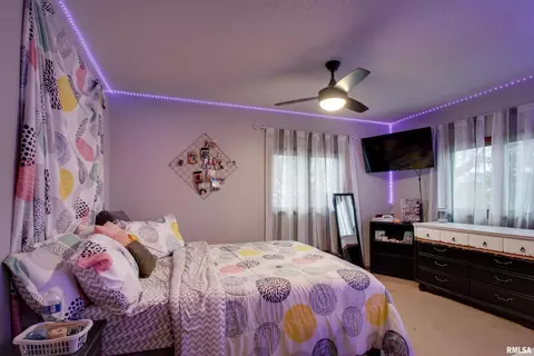 1713 1332nd St, Fowler, IL 62338 photo 8