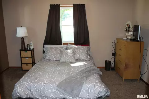 308 E Center St, Cambridge, IL 61238 photo 18