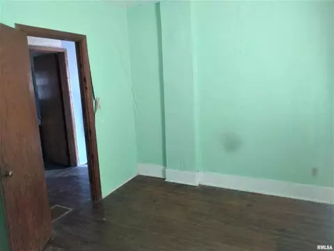 211 Williams St, Barry, IL 62312 photo 13