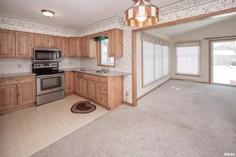 411 10th Ave, Hampton, IL 61256 photo 9