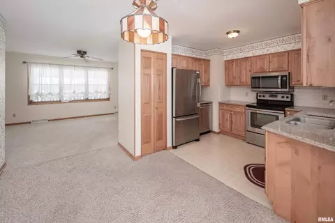 411 10th Ave, Hampton, IL 61256 photo 10