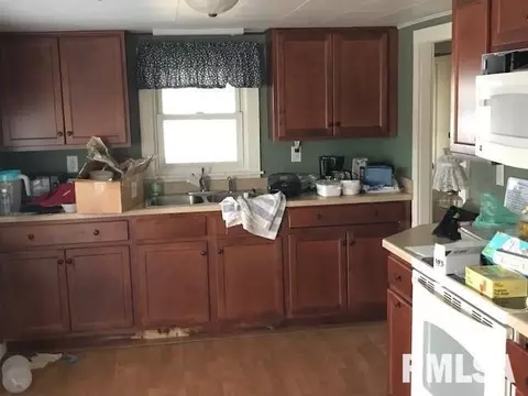 5429 Riverview Circle Dr, Thomson, IL 61285 photo 5