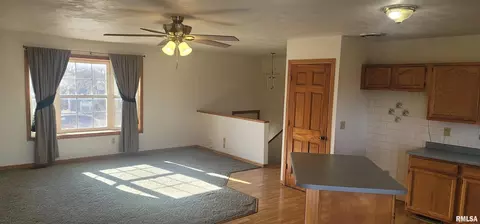 305 9th St E, Milan, IL 61264 photo 5