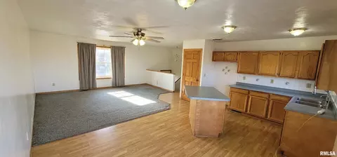 305 9th St E, Milan, IL 61264 photo 6