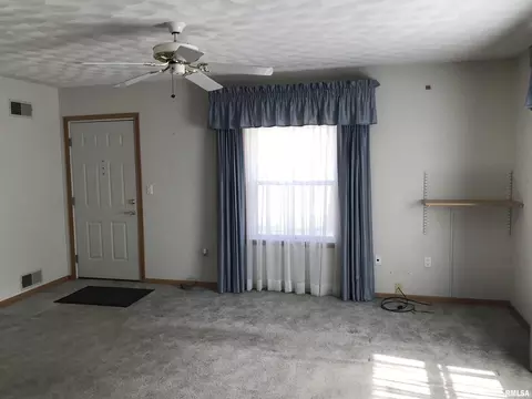 1219 49th St, Moline, IL 61265 photo 13