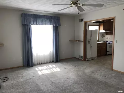 1219 49th St, Moline, IL 61265 photo 14