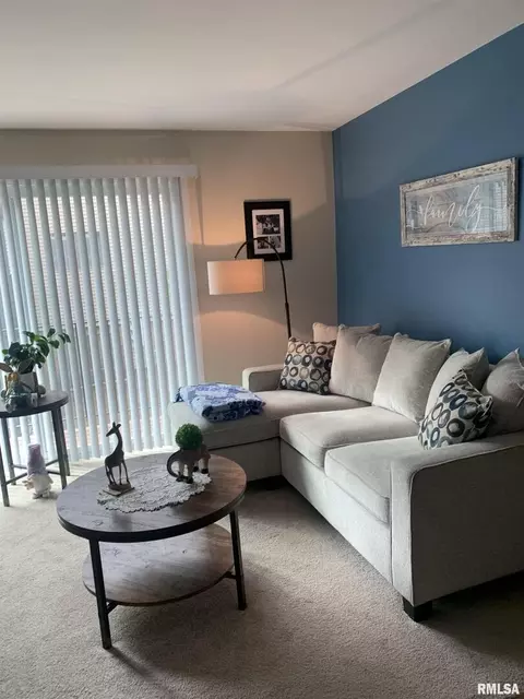 3069 4th St #8, Moline, IL 61265 photo 21