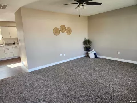 308 Red Bud St, Payson, IL 62360 photo 3