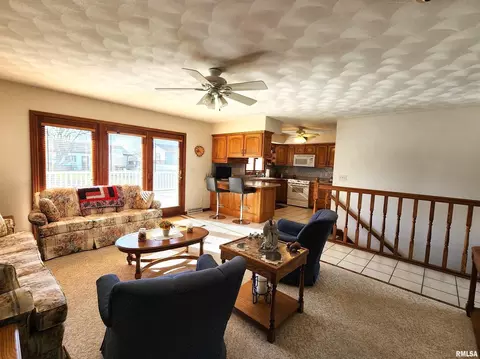 906 13th St, Orion, IL 61273 photo 6