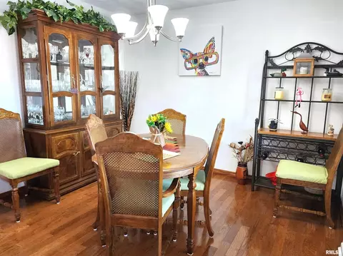 906 13th St, Orion, IL 61273 photo 10