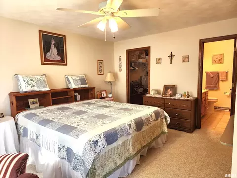 906 13th St, Orion, IL 61273 photo 12