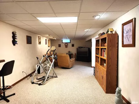 906 13th St, Orion, IL 61273 photo 25