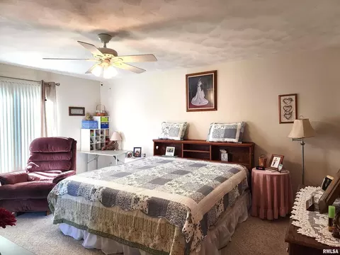 906 13th St, Orion, IL 61273 photo 11