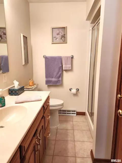 906 13th St, Orion, IL 61273 photo 14
