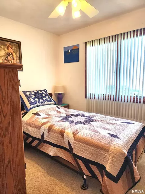 906 13th St, Orion, IL 61273 photo 16