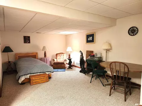 906 13th St, Orion, IL 61273 photo 27