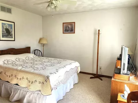 906 13th St, Orion, IL 61273 photo 21