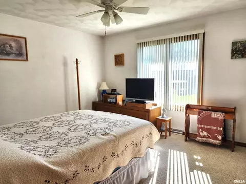 906 13th St, Orion, IL 61273 photo 20