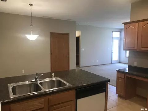 18 Cherry Hill Ct, Hampton, IL 61256 photo 11