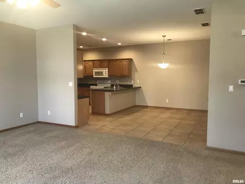 18 Cherry Hill Ct, Hampton, IL 61256 photo 8