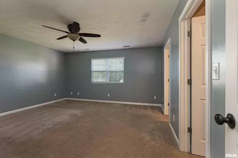 1414 E Willow Dr, Marion, IL 62959 photo 16