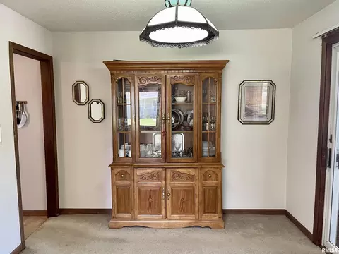 1753 Shutters St, Thomson, IL 61285 photo 10