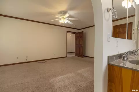 3217 Appaloosa Ct, Herrin, IL 62948 photo 13