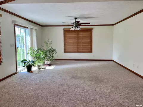 3217 Appaloosa Ct, Herrin, IL 62948 photo 24