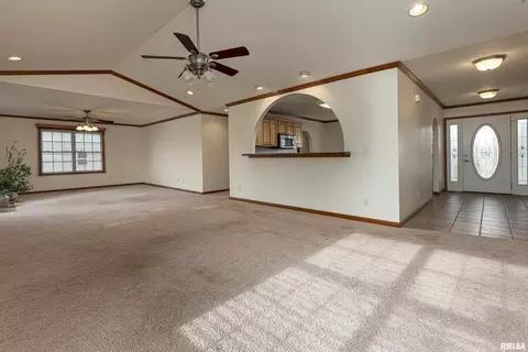 3217 Appaloosa Ct, Herrin, IL 62948 photo 25