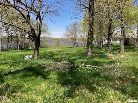 lot1 River Rd N, Cordova, IL 61242