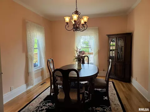 718 10th Ave, Fulton, IL 61252 photo 10