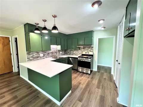 1005 Tamarack Ln, Marion, IL 62959 photo 12