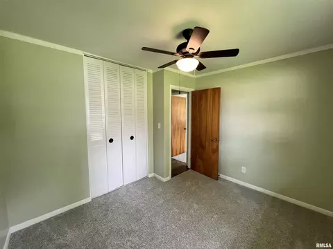 1005 Tamarack Ln, Marion, IL 62959 photo 23