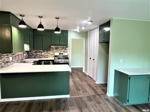 1005 Tamarack Ln, Marion, IL 62959 photo 13