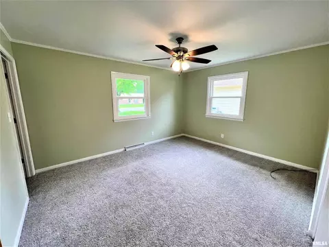 1005 Tamarack Ln, Marion, IL 62959 photo 16
