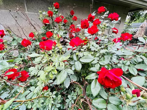 1204 E Parham St, Marion, IL 62959 photo 22