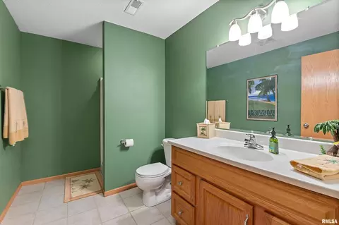 214 8th Ave, Hampton, IL 61256 photo 30