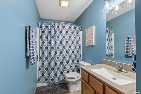 214 8th Ave, Hampton, IL 61256 photo 24
